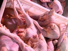 -鑫朱雀农贸批发市场