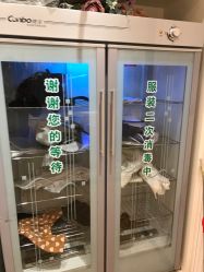 -小阿福儿童摄影(摩尔城店)