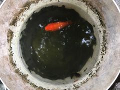 -鲁迅公园-垂钓中心