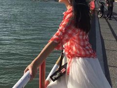 -北海金海湾红树林生态旅游区