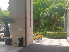 -苏州金鸡湖大酒店