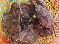 -坛南湾阿强农家乐.海鲜大排档老字号(福州地标美食店)