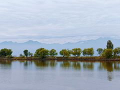 -野鸭湖国家湿地公园