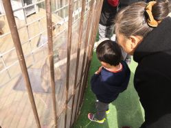 -萌宠亲子动物乐园(槐房万达店)