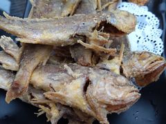 -金谷园饺子·烧烤(人大总店)