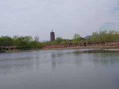 -永定河休闲森林公园