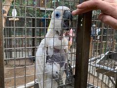 -南宫五洲植物乐园