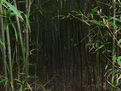 -郑州植物园