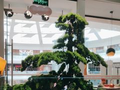 -蛙小侠(古镇大信新都汇店)