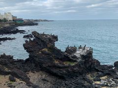 -龙头岩(Dragon Head Rock)