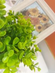 -MIVI野生眉纹绣纹眉