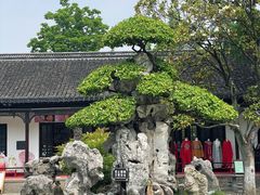 -水绘园