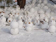 -北海道厅旧本厅舍(旧本庁舎)