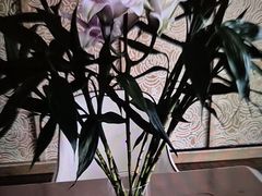-浅深Cheersum(曹杨店)