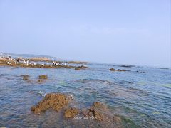 -青岛第三海水浴场