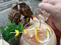 -Chom Cafe and Restaurant