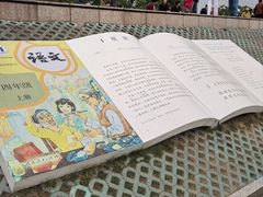 -观潮胜地公园
