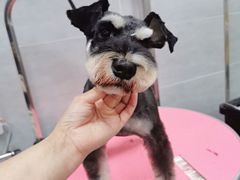 -宠福鑫康馨动物医院·骨科·眼科