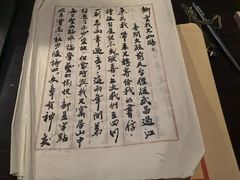 -武汉知音号