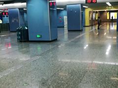 -大龙山(地铁站)