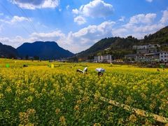 -梧桐山风景名胜区