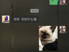 -宠爱我(南山店)