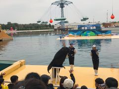 -秦皇岛乐岛海洋王国