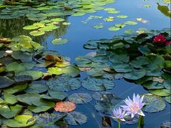 -国家植物园南园