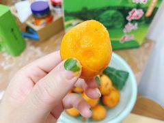 -塘栖枇杷特色园区