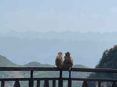 -重庆云阳龙缸景区