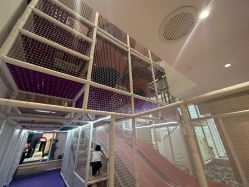 -奈尔宝家庭中心·亲子餐厅(华采天地店)