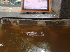 -嘉和K6温泉微度假