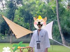 -三亚湾海居铂尔曼度假酒店