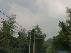 android_upload_pic-宁波浙东大竹海景区