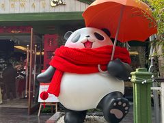 -轩客会(熊猫书店)
