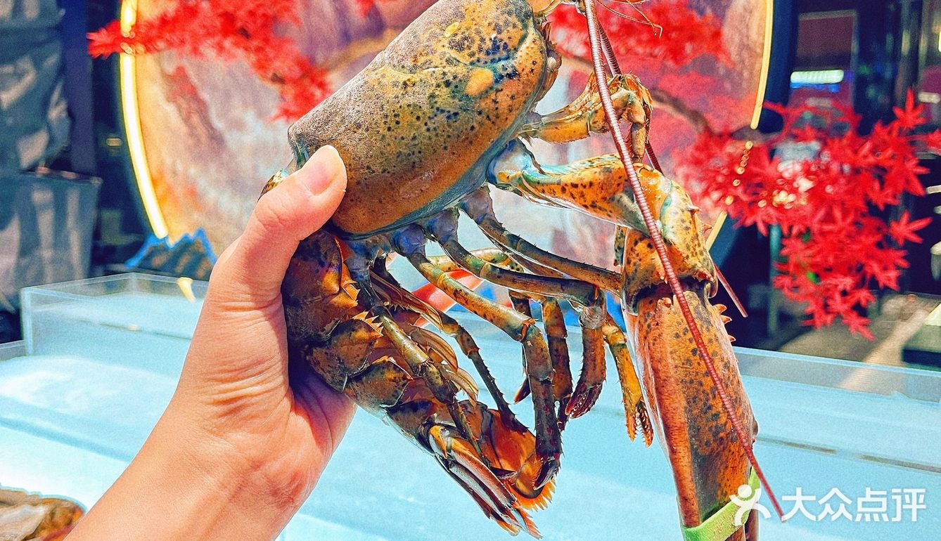 北京最豪横海鲜自助|分分钟把老板吃亏本！