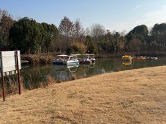 -南湖湿地公园
