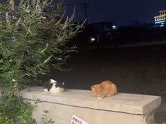 -像素研食The pixlab (皮市街店)