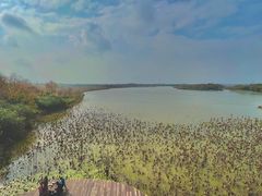 景观位-东滩湿地公园观海楼餐厅