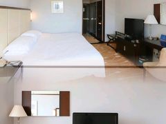 -武汉江城明珠豪生大酒店
