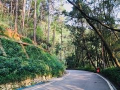 -三门江国家森林公园