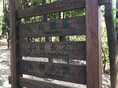 -火炉山森林公园