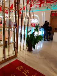 -BULB STUDIO 巴柏明星发型工作室