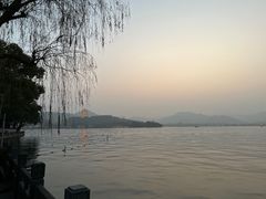 -杭州西湖柳莺里酒店·闻莺厅