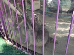 -萌宠亲子动物乐园(槐房万达店)