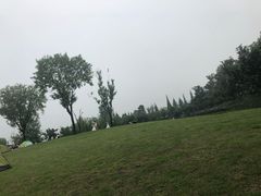 -两河城市森林公园
