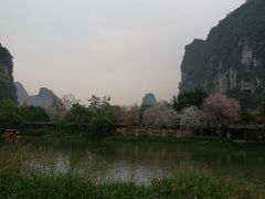 -明仕田园
