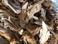 -鲤鱼塘农家山庄