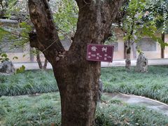 -徽商大宅院