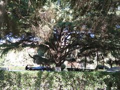 -陕西师范大学(雁塔校区)